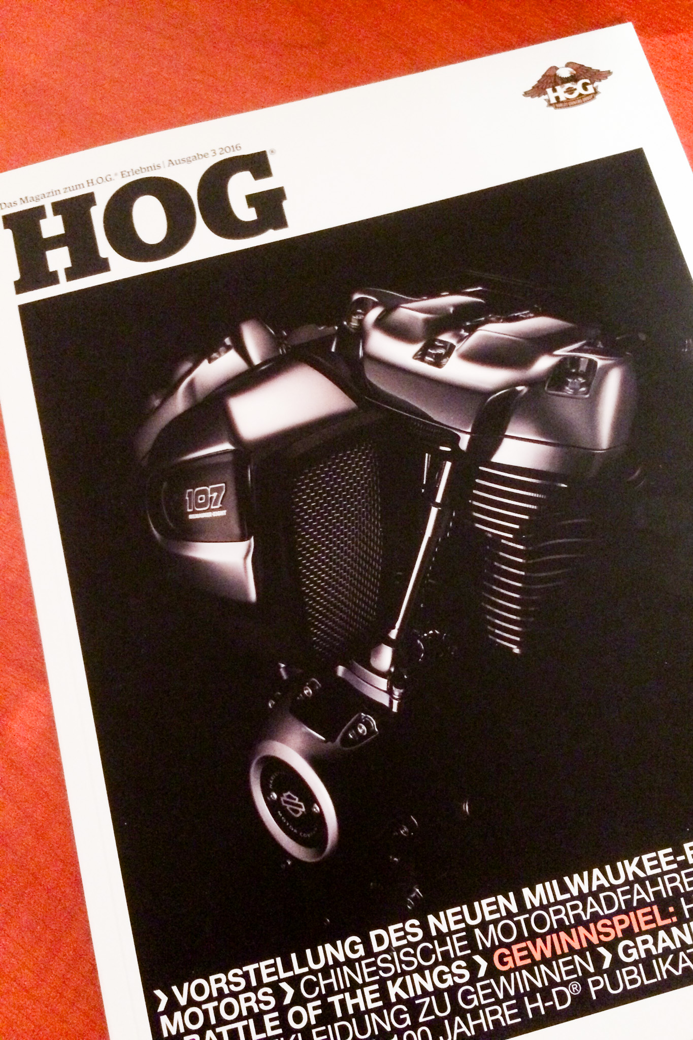 HOG-MAGAZIN-PORTRAITFLORIAN